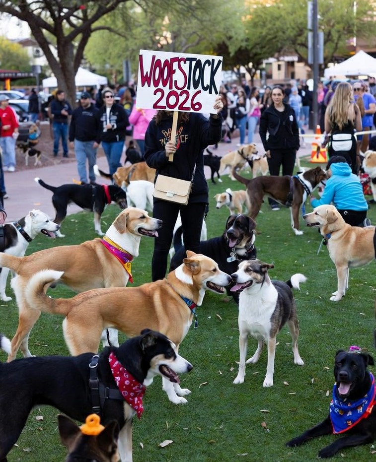 phoenix dog events woofstock